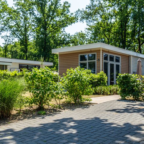 LODGE 4 Personen